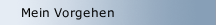 Mein Vorgehen